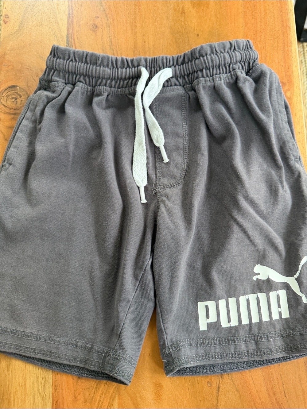 Puma Logo Shorts